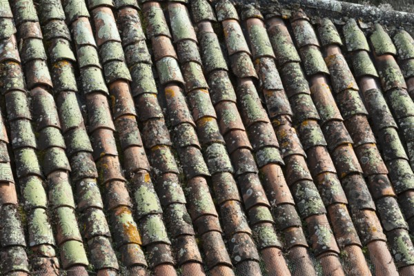 Close-up view of terracotta roof tiles showcasing unique textures and colors. The surface exhibits