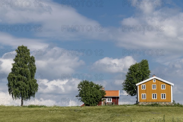 Falun red and Swedish yellow wooden house, meadow, trees, blue sky, clouds, at Lake Mjosa near