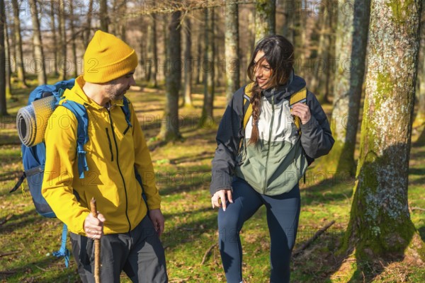 Hikers with backpacks enjoying a sunny day in the forest, chatting and laughing as they explore the