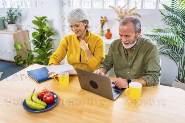 Happy senior couple working on personal financial bills at home using laptop sitting on the living