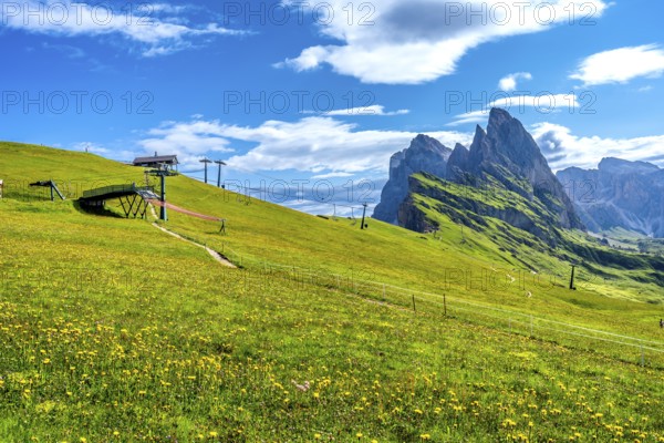 Lush green meadow covered in yellow wildflowers with ski lifts and the majestic peaks of the odle