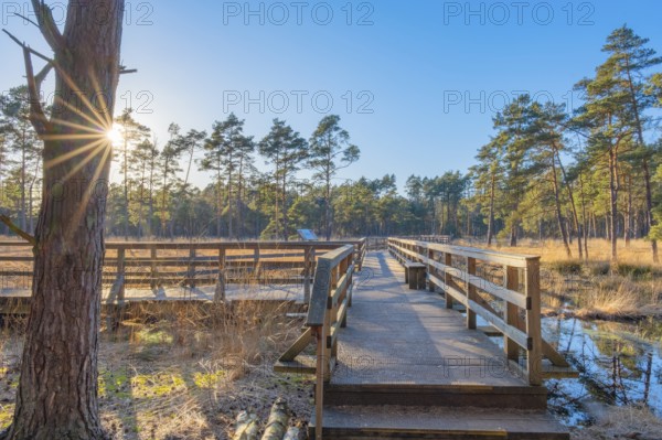 View along a moor bridge in the moor adventure trail, Sonnenstrahl, Otternhagener Moor, Resse,
