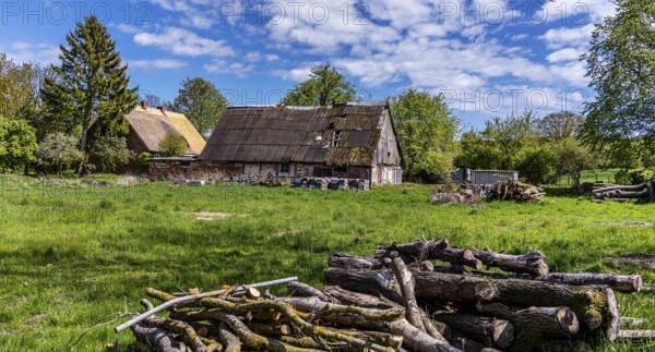 Abandoned and derelict farmhouses on undeveloped land in Rügen, Mecklenburg-Vorpommern, Germany,