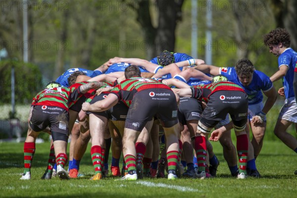 Heidelberg, 06.04.2024, Rugby 1st Bundesliga South/West, Season 2023/24, Matchday 10: SC Neuenheim