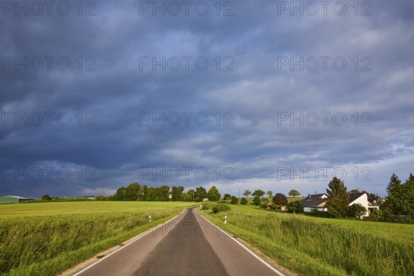 Crop field, trees, landscape, landscape photography, overcast sky, nimbostratus clouds, sunlight,