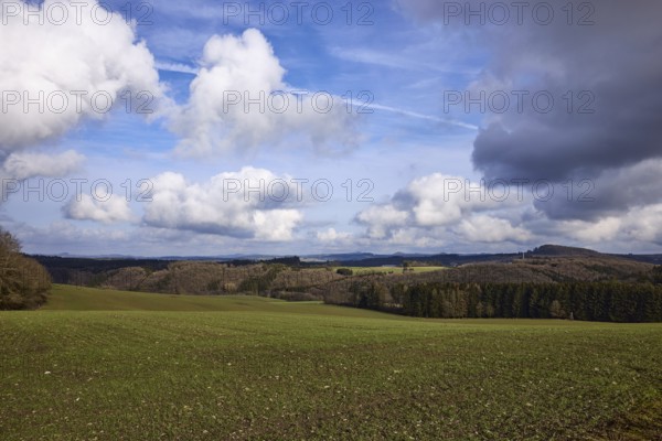 Agriculture, fields, hilly landscape, coniferous forest, landscape, landscape photography, blue