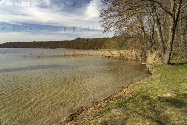 Lichtenberg bathing beach on Lake Breiter Luzin, Feldberg Lakeland, Mecklenburg-Western Pomerania,