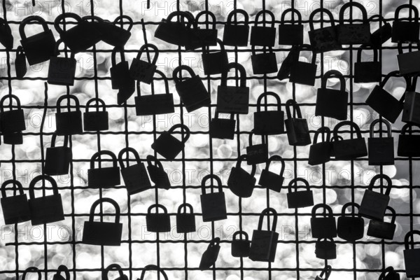 Padlocks, so-called love locks on a fence, vantage point in Wesel am Rhein, North Rhine-Westphalia,