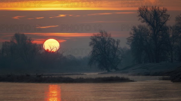 Sunrise on the Middle Elbe, winter landscape in frost, river landscape, fog, reflection of the sun,