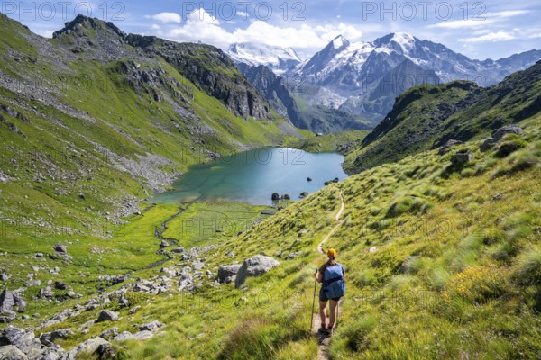 Hiker, mountain lake Lac de Louvie with glaciated summit of the Grand Combin, Val de Bagnes,