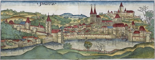 Medieval city view of Passau or Patavia, family tree, old coloured woodcut from: Schedel'sche