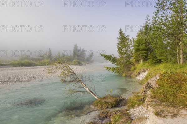 Isar valley nature conservancy area. The wild Isar river flows through its gravel bed past