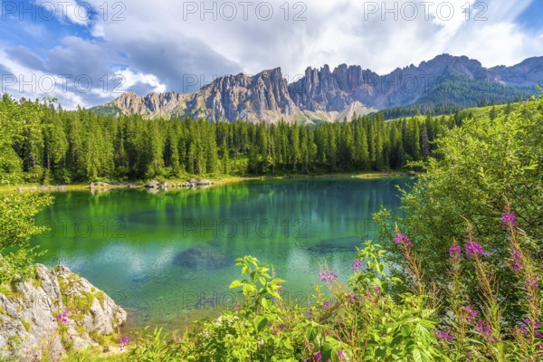 Stunning view of the emerald green water of lake carezza with the latemar mountain range in the