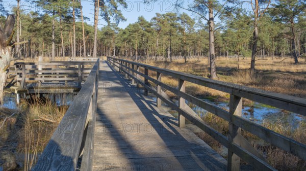 View along a moor bridge in the moor adventure trail, Otternhagener Moor, Resse, Neustadt am