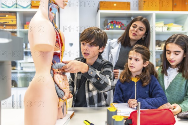 Elementary school students learning human body anatomy with teacher and anatomical model during