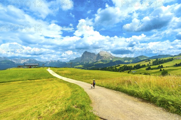Tourists enjoying a scenic walk on a sunny summer day at alpe di siusi, with the sassolungo
