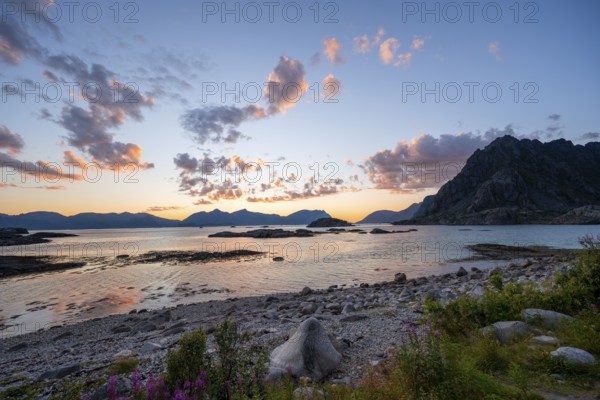 Coast with pebble beach, coastal landscape at sunset, Henningsvær, Lofoten, Nordland, Norway,