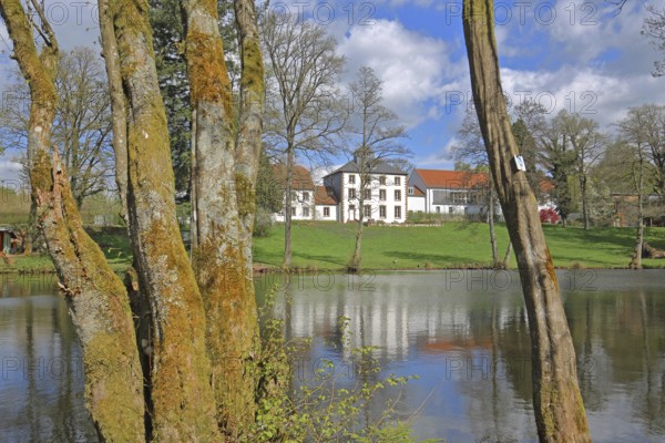Pond with mossy tree trunks at Hofgut Imsbach, nature, moss, reflection, country inn, idyll,