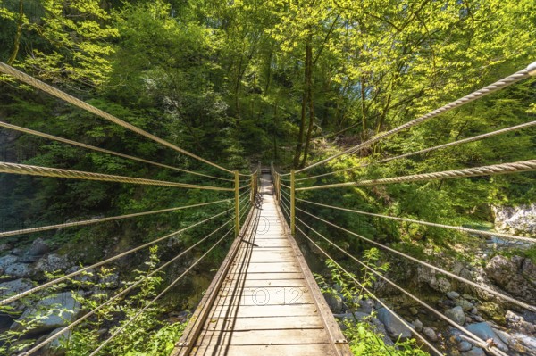 Wooden suspension bridge crossing over a clear stream in tolmin gorge, slovenia, surrounded by lush