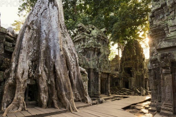 Ta Prohm, Angkor Wat, Angkor, UNESCO World Heritage Site, Siem Reap, Cambodia, Indochina, Southeast