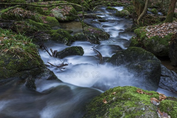 Gertelbach, Gertelbach Waterfalls, Gertelbach Falls, Gertelbach Gorge, Bühl, Bühlertal, Northern
