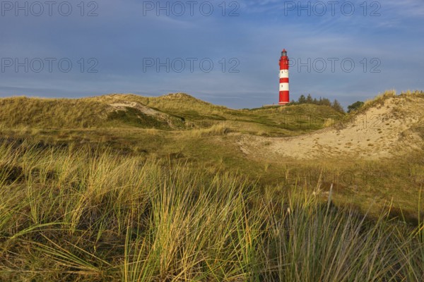 Amrum Island, landscape Germany, dune, dunes, grass, structure, shape, vegetation, lighthouse,