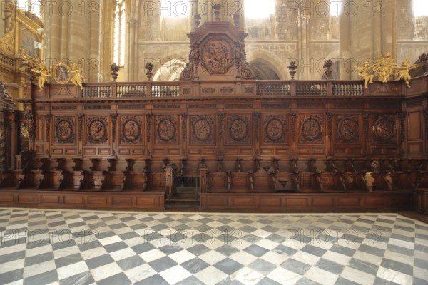 Choir stalls of the Gothic church Ste-Marie-Madelein, interior view, wood carving, arts and crafts,