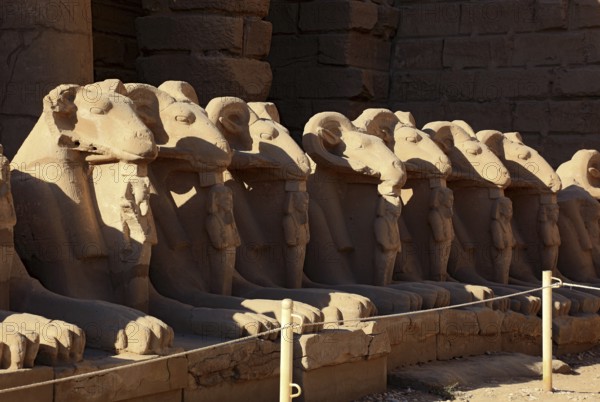 Luxor, Karnak Temple, columns and ram figures of the Amun-Re-Temple in Karnak, Africa, Upper Egypt,