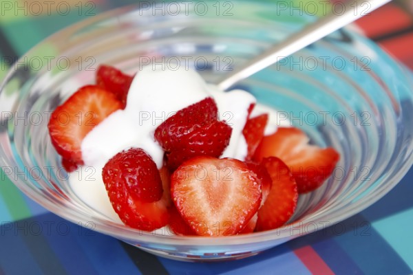 Quark with fresh strawberries, dessert, dessert bowl, healthy, fruit, dairy product, vegetarian,