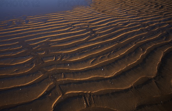 Sand ripples, wavy lines in the sand, structure, sandy beach, Meia Praia beach, Lagos, Atlantic