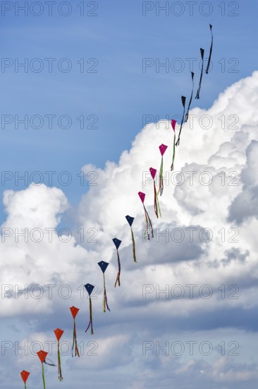Strung kites flying in the sky, garland, kite festival in Vinsebeck, Steinheim, Eggegebirge and
