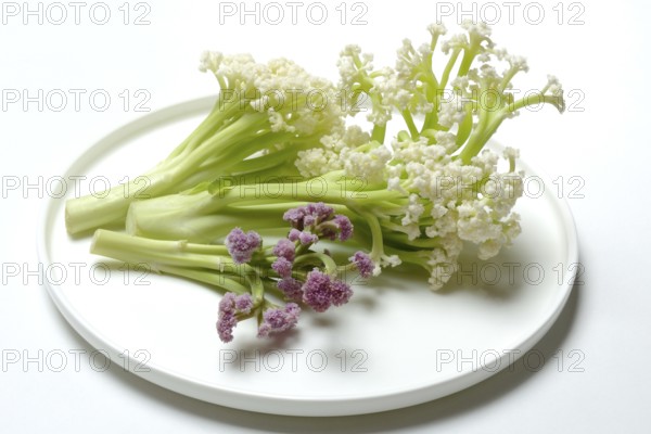 Fioretto, a cross between cauliflower and broccoli. The flowers are reminiscent of coral,