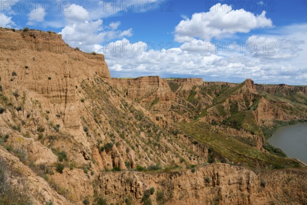 Ein felsiger Canyon mit einem klaren blauen Himmel und weißen Wolken darüber, Barrancas de Burujón,