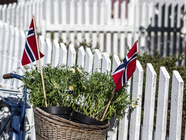 Decorated bicycle at a white fence, norwegian national day, village Solvorn at the Sognefjord,