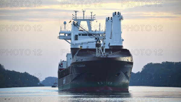 General Cargo, cargo ship Pijlgracht sailing at sunrise in the Kiel Canal, Kiel Canal,