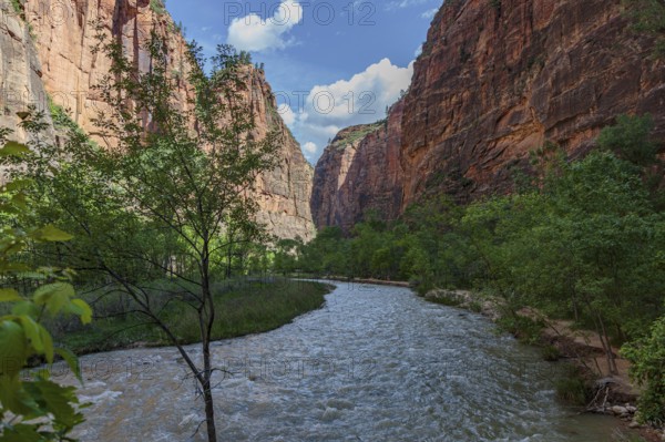 Virgin River runs between sandstone rock formations along the Riverside Walk in the Temple of