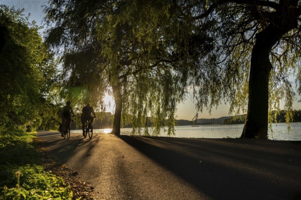 Cycling on Lake Baldeney, around 14 kilometres around the Ruhr reservoir, summer evening on the