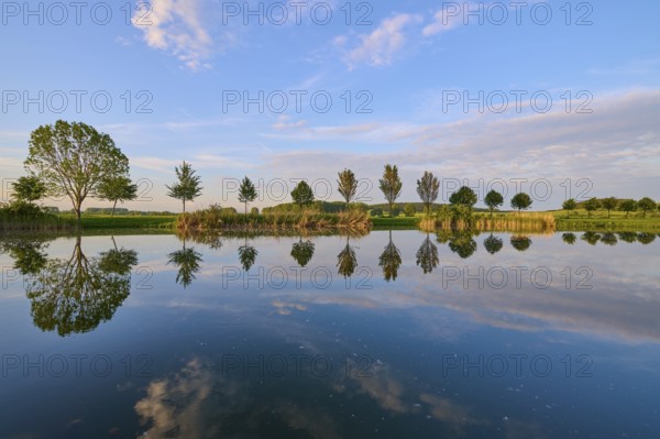 Lake in spring with row of trees and reflection, Drei Gleichen, Ilm-Kreis, Thuringia, Germany,