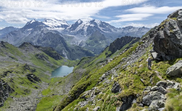 Mountain stream and mountain lake Lac de Louvie with glaciated summit of the Grand Combin, Val de