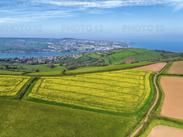 Rapeseed fields over the River Teign from a drone, Teignmouth, Shaldon, Devon, England, United