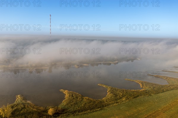 Aerial view of river Elbe near Lenzen, view to Höhbeck radio mast, morning fog in autumn, Germany,