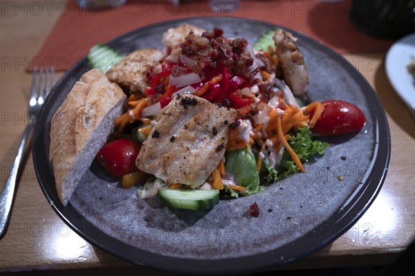 Salad with roasted turkey strips served in a restaurant, Bavaria, Germany, Europe