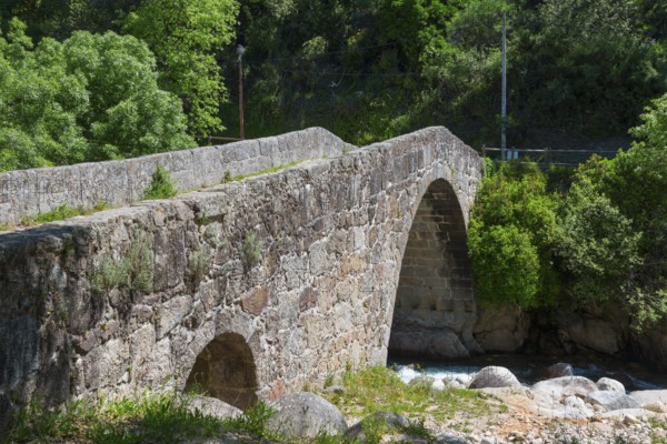 Old stone bridge over a river in a green, wooded setting under a sunny sky, Puente Parral, Roman
