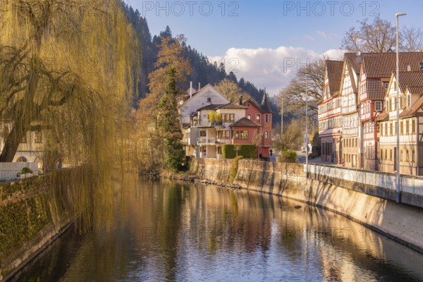 Idyllic town view with river and historic half-timbered houses in autumn, Calw in spring, Black