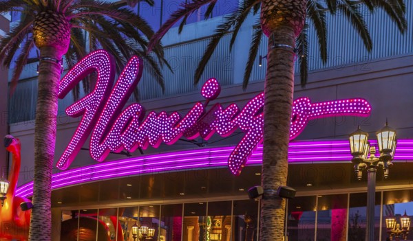 Purple and pink neon lights of the Flamingo Las Vegas Hotel and Casino on the Las Vegas Strip in