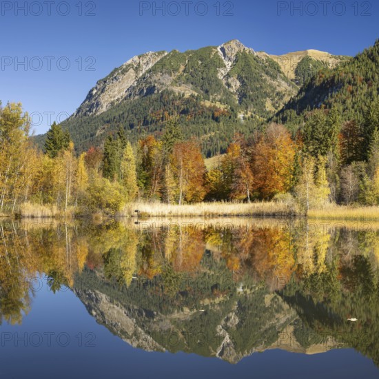 Rubihorn, 1957m, Gaisalphorn, 1953m, and Schattenberg, 1845m, water reflection in the moor pond,