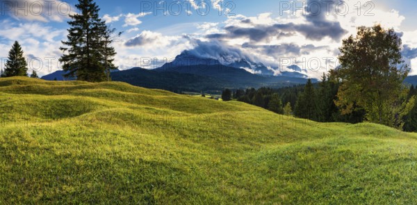 Humpback meadows between Mittenwald and Krün, Werdenfelser Land, behind it the Wettersteinspitze,
