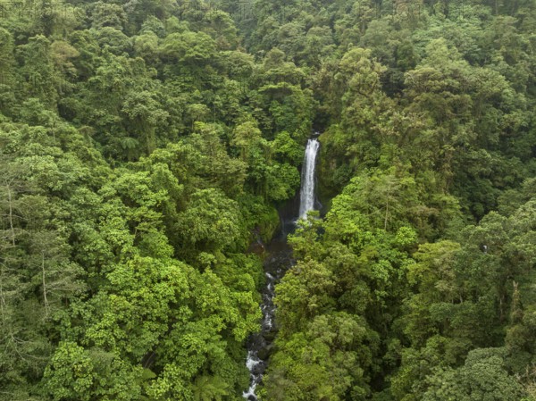 Aerial view, waterfall in the rainforest, Catarata de la Paz, La Paz Waterfall Gardens Nature Park,