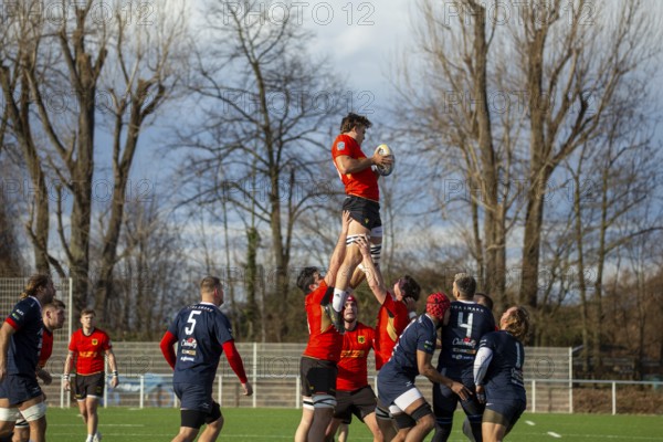 Rugby: Germany against MKS Pogon Awenta Siedlce, Poland in Heidelberg (test match of the German