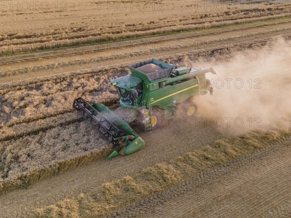 A combine harvester harvests a grain field near Frankfurt am Main. (Aerial photo with a drone),